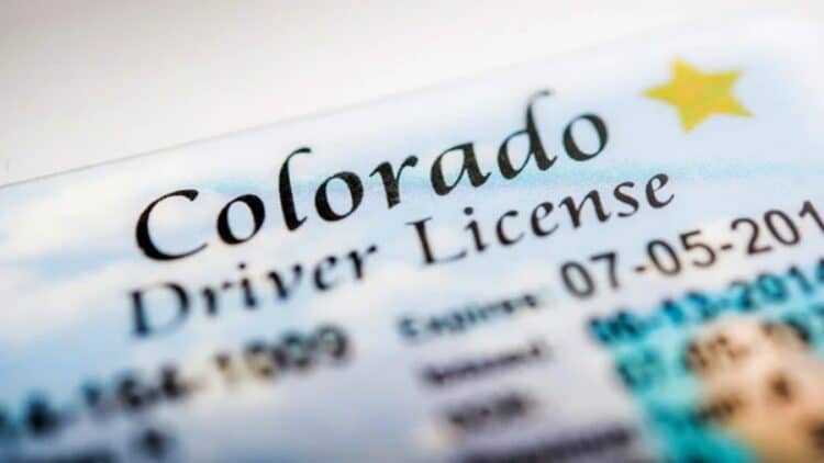 Online driving license renewal