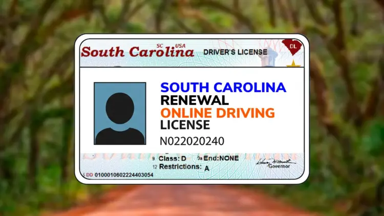 driving license renewal in South Carolina